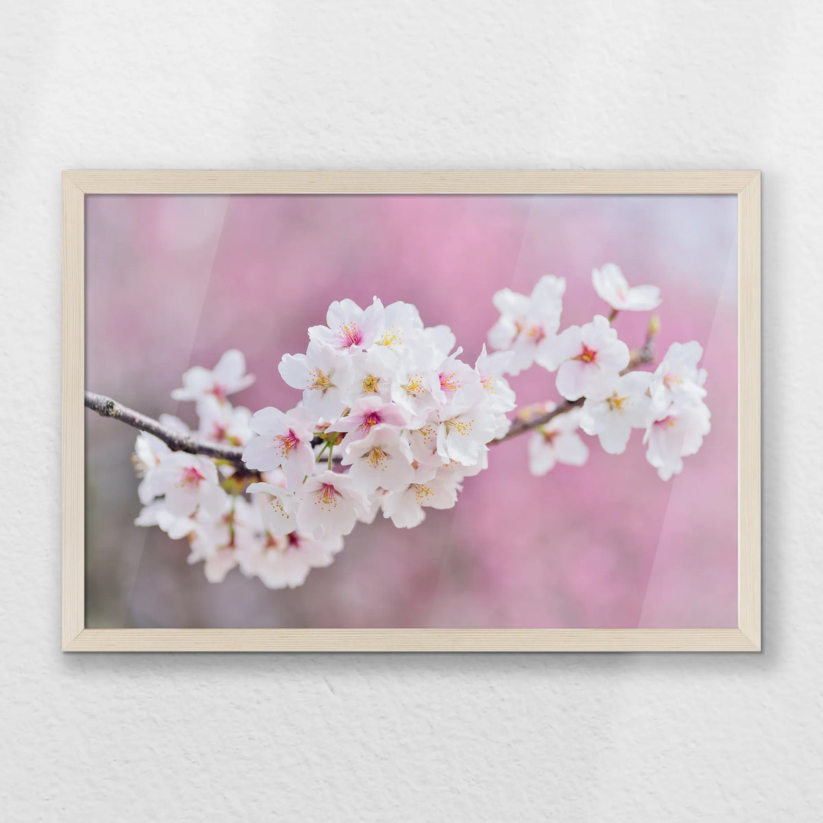 PN-060W040