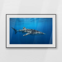 PBP100W070