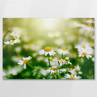 AL-090W060