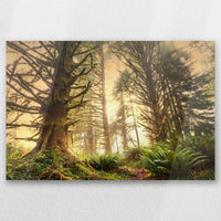 AC-060W040