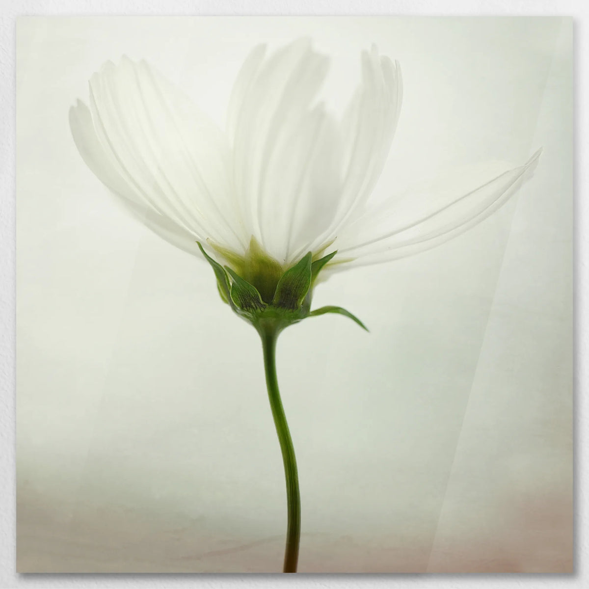 AC-080W080