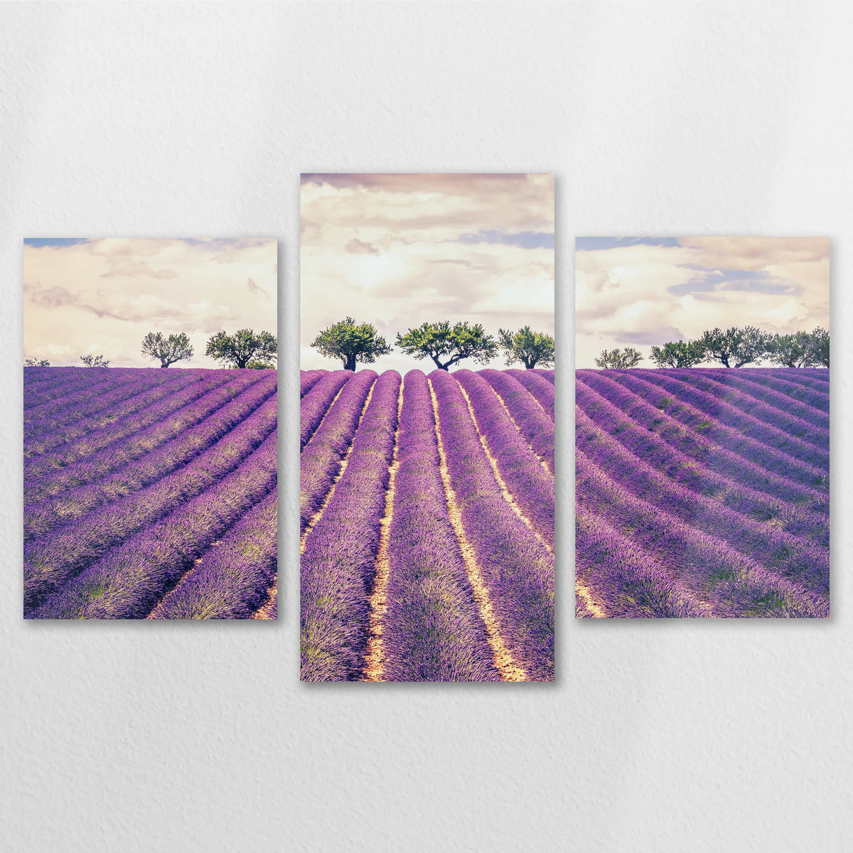 AL-120T080
