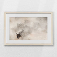 PNP060W040