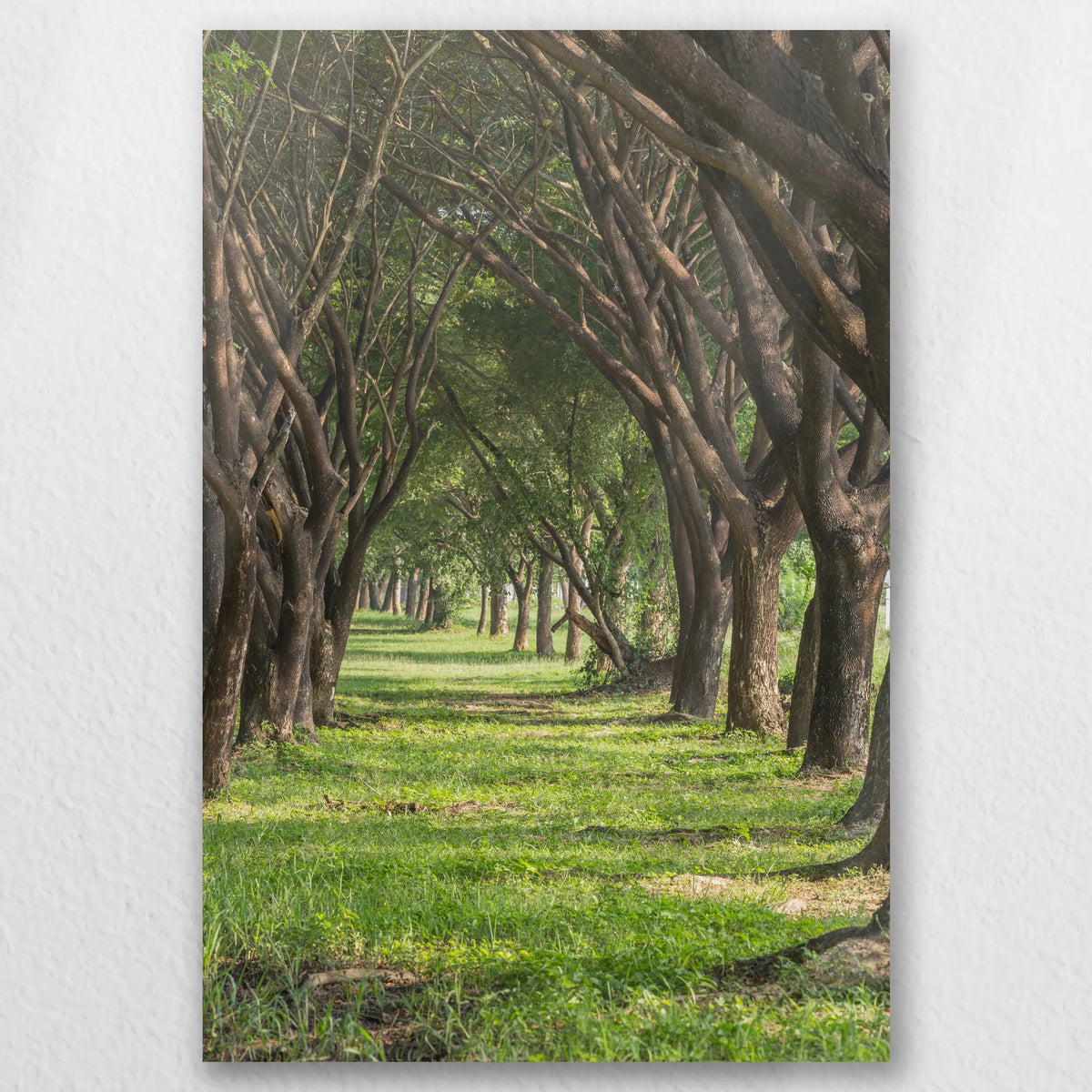 AL-040W060