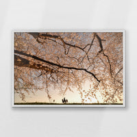 PW-093W062