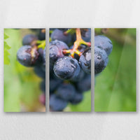 AL-060R040