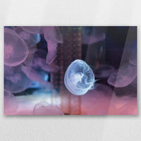 AC-030W020