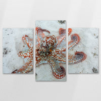 AC-150T100