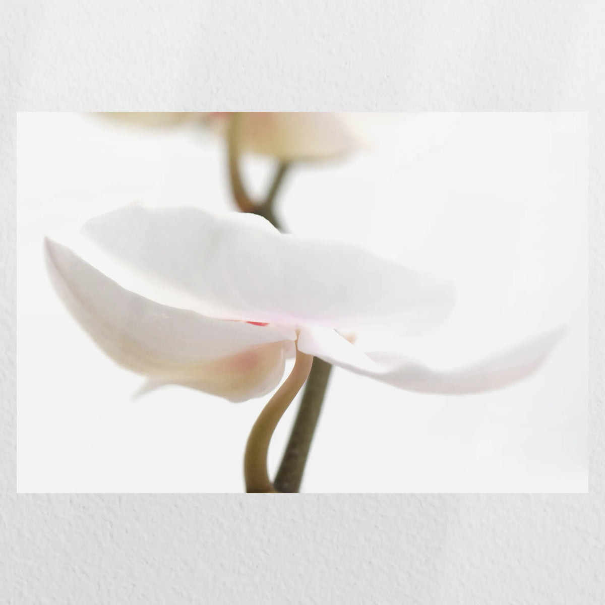 PO-045W030