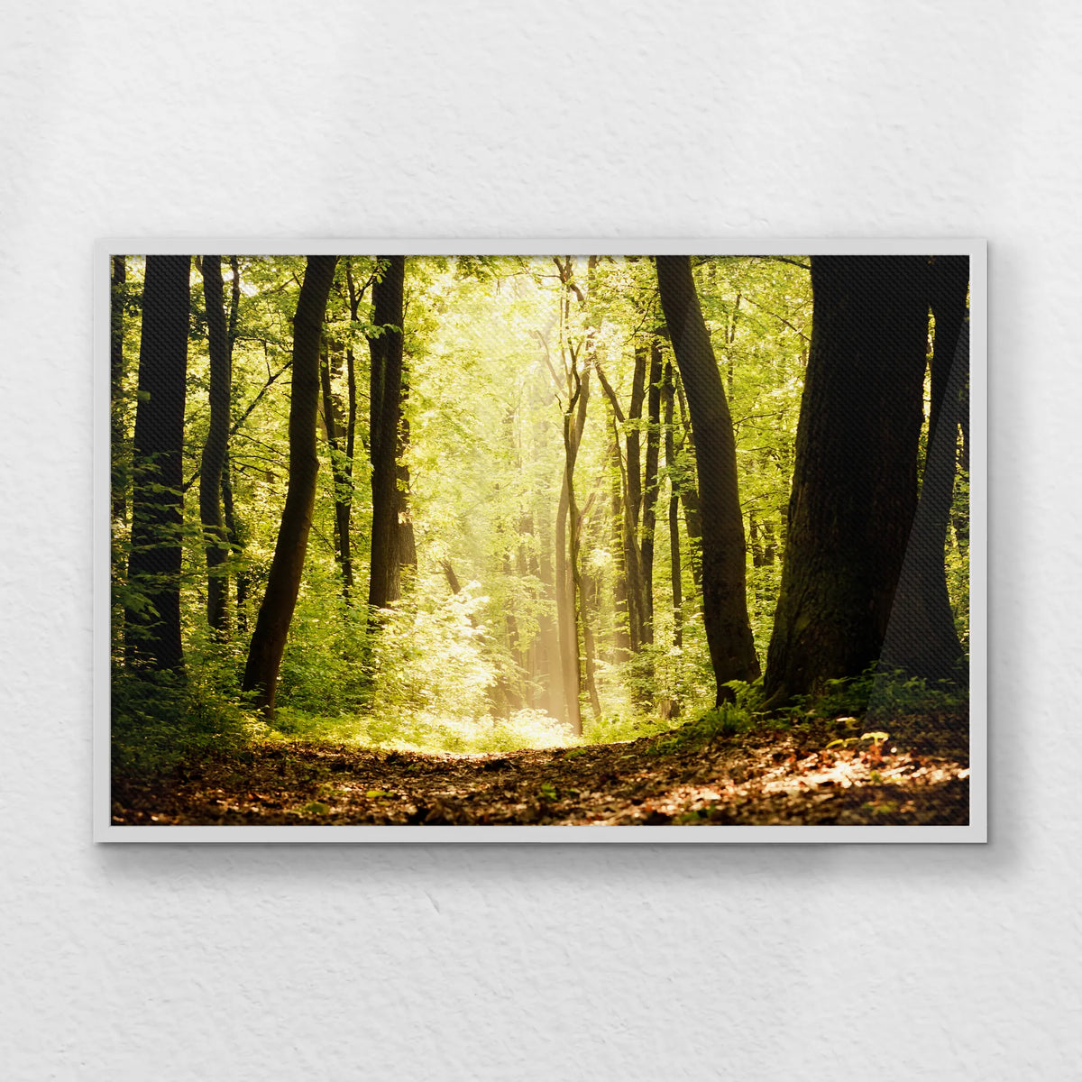 LWW100W070