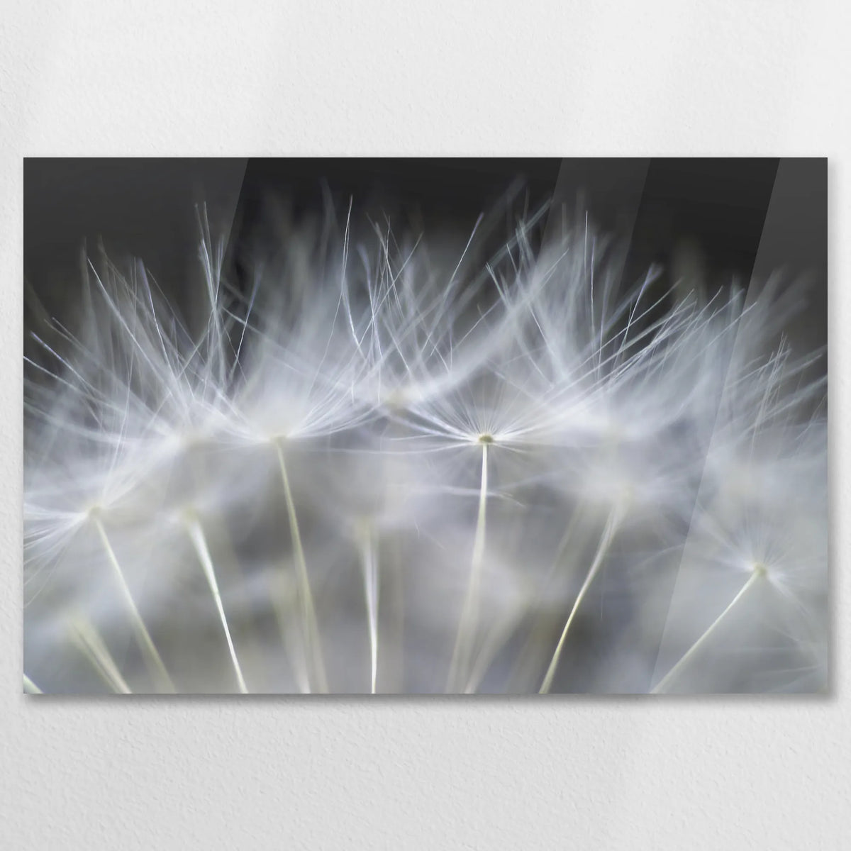 AC-075W050