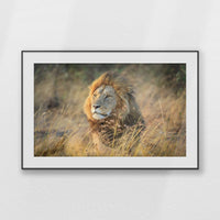 PBP120W080