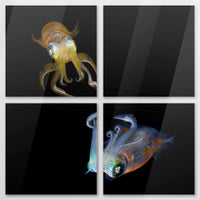 AC-120V120