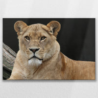 LW-090W060