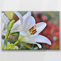 LW-060W040