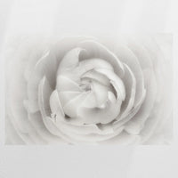 PO-090W060