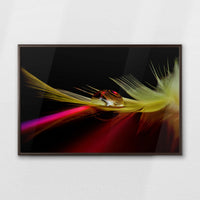 LWN100W070