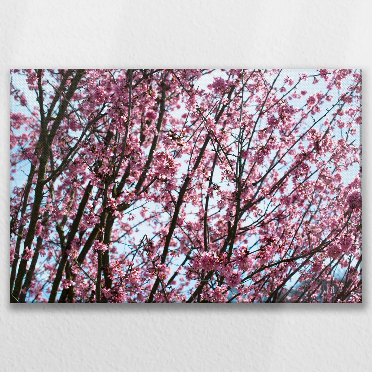 LW-075W050
