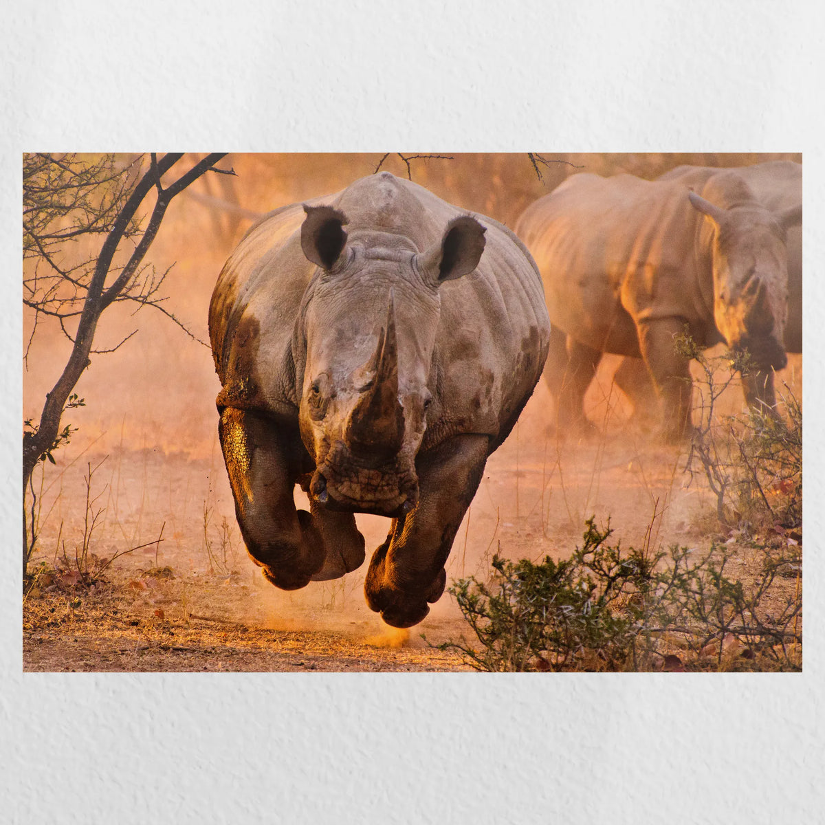PO-030W020