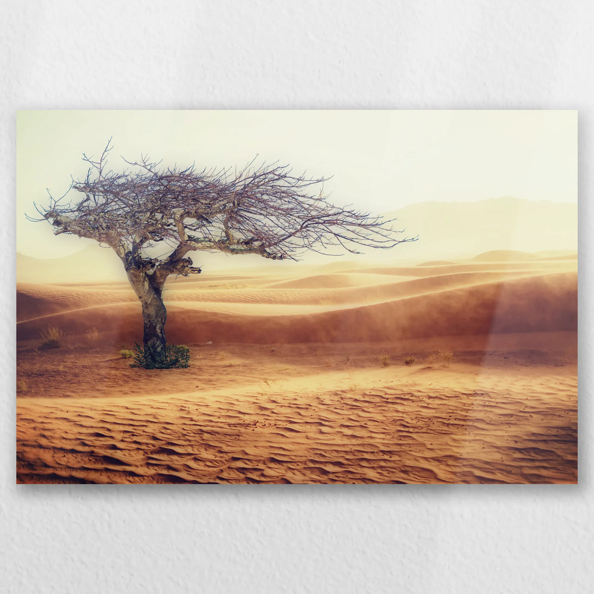 AL-030W020