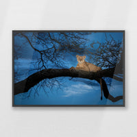 PK-100W070