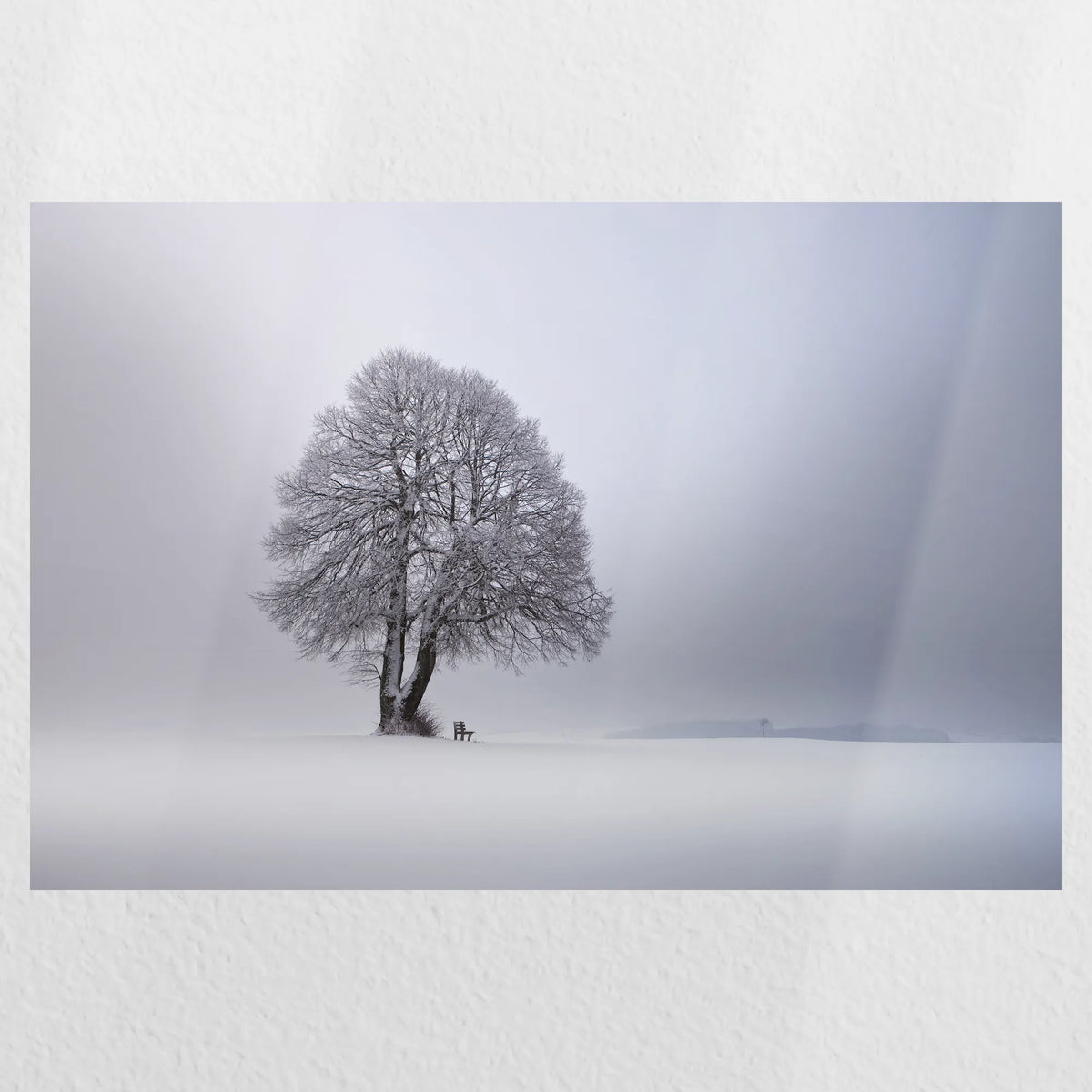 PO-045W030