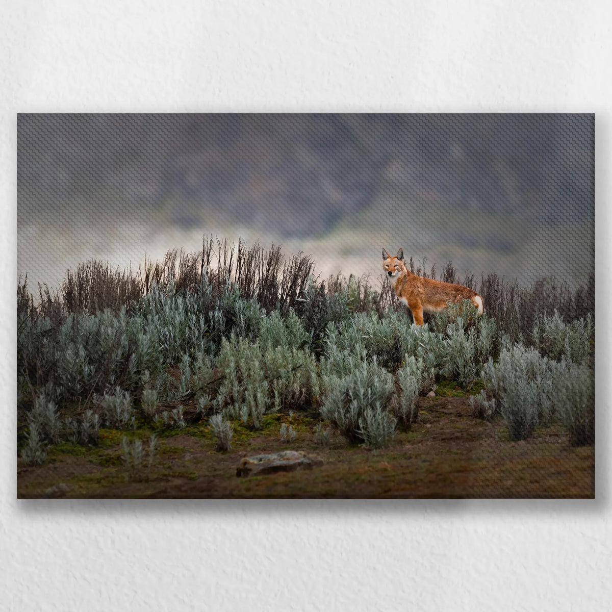 LW-045W030