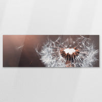 AC-150P050