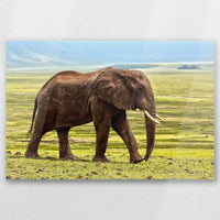 AC-045W030