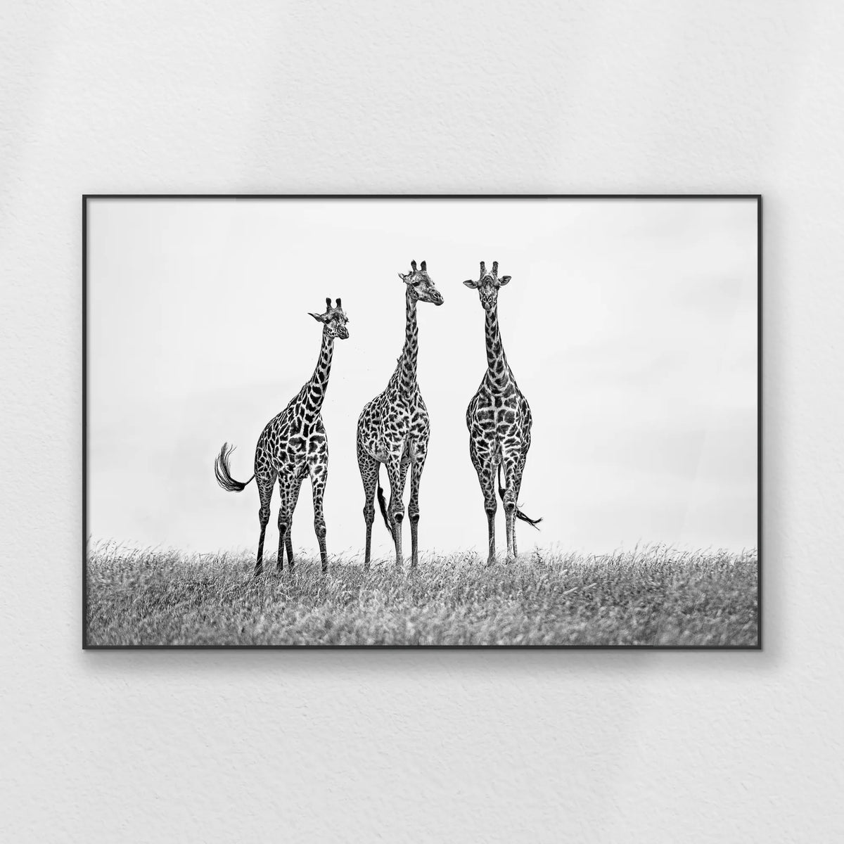 PB-120W080