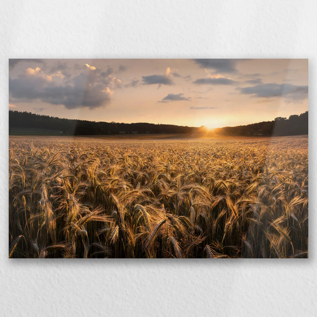 AL-030W020