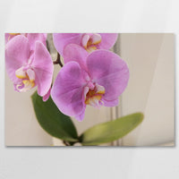 AC-075W050
