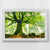 LWW030W020