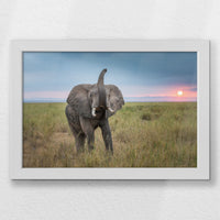 LWW030W020