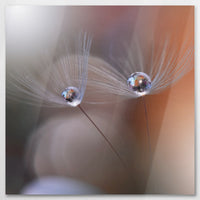 AL-070W070