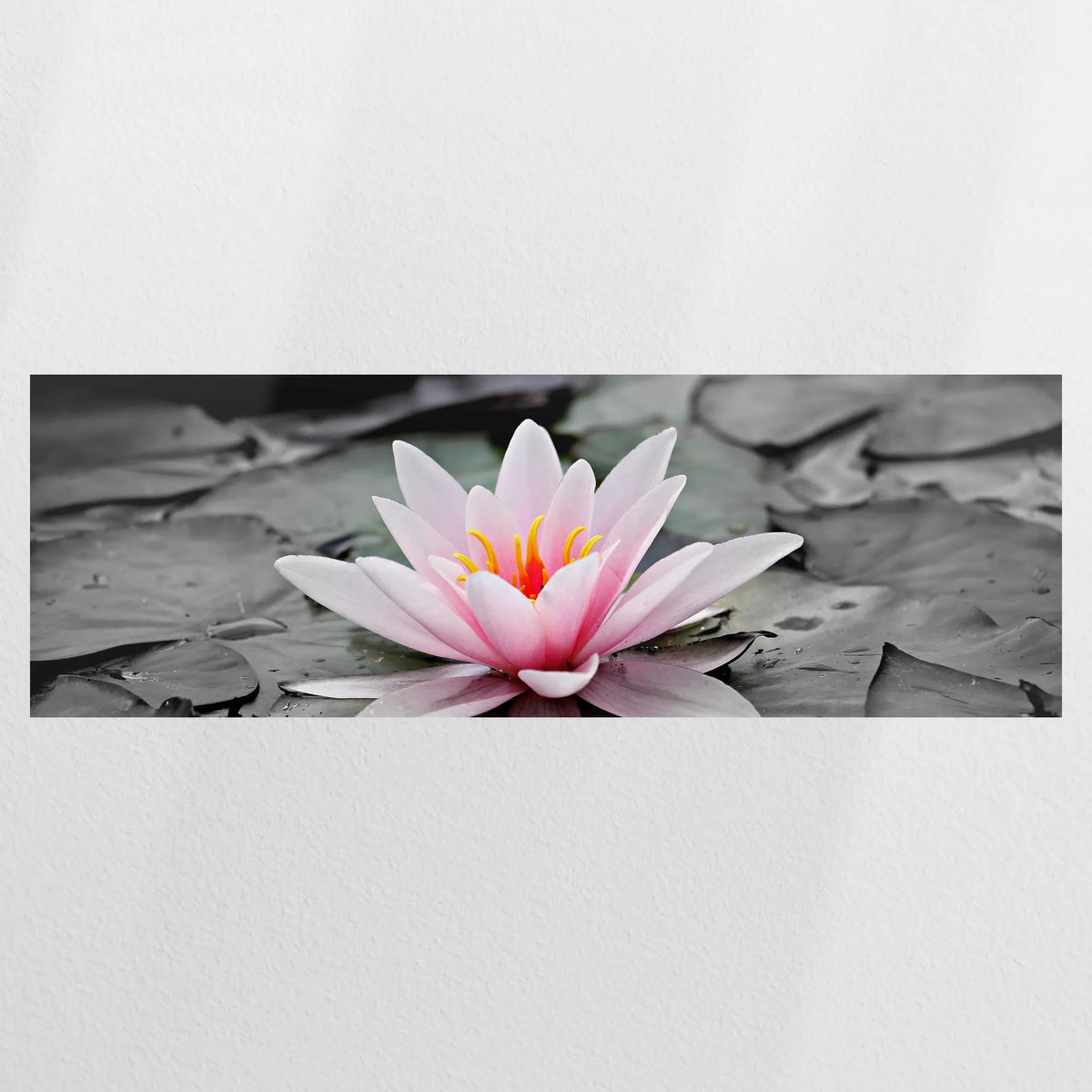 PO-150P050