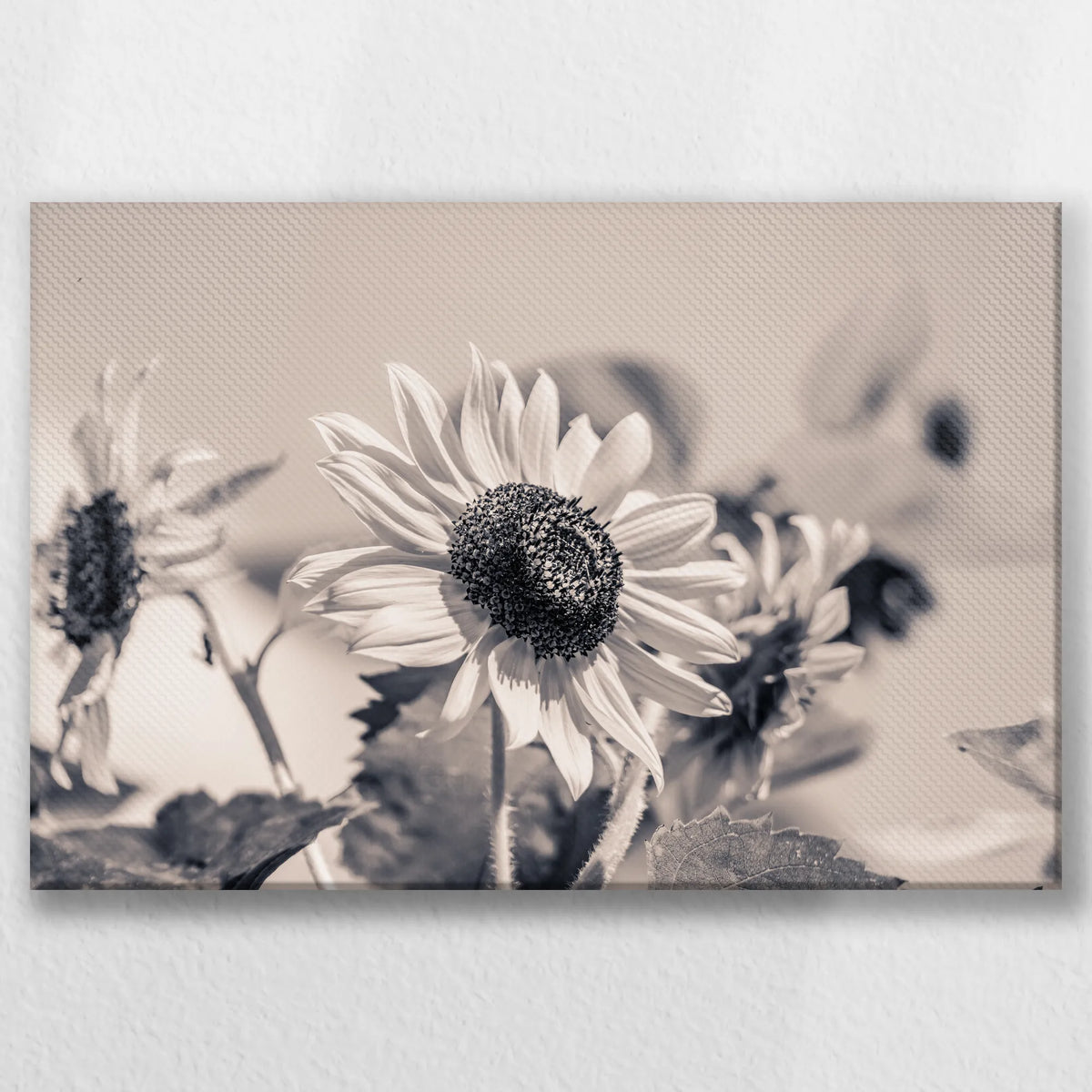 LW-045W030