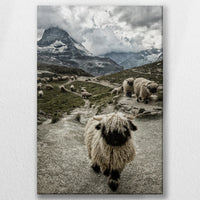 LW-050W075