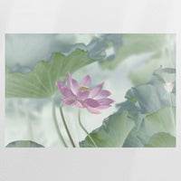 PO-075W050