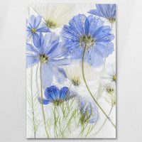 AL-060W090