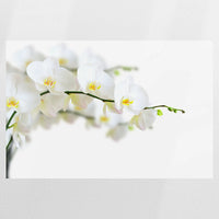 PO-090W060