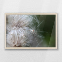 PN-060W040