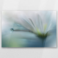 AC-060W040