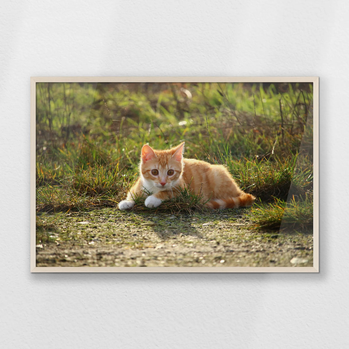 PN-093W062