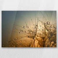 AC-060W040