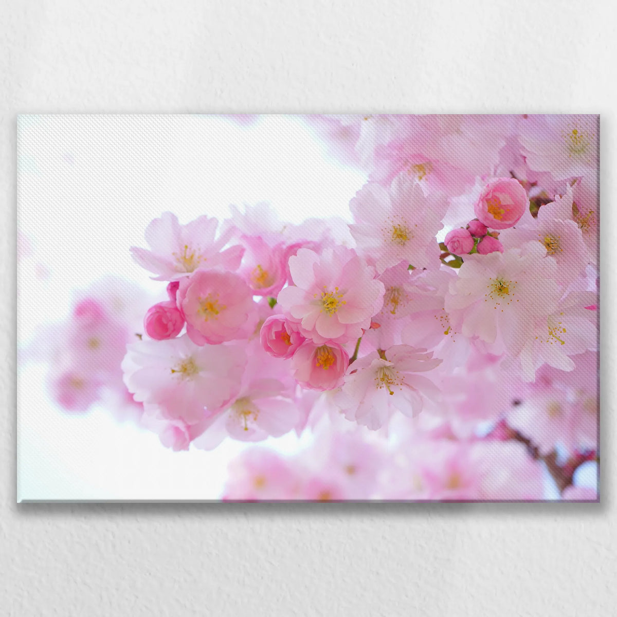 LW-075W050