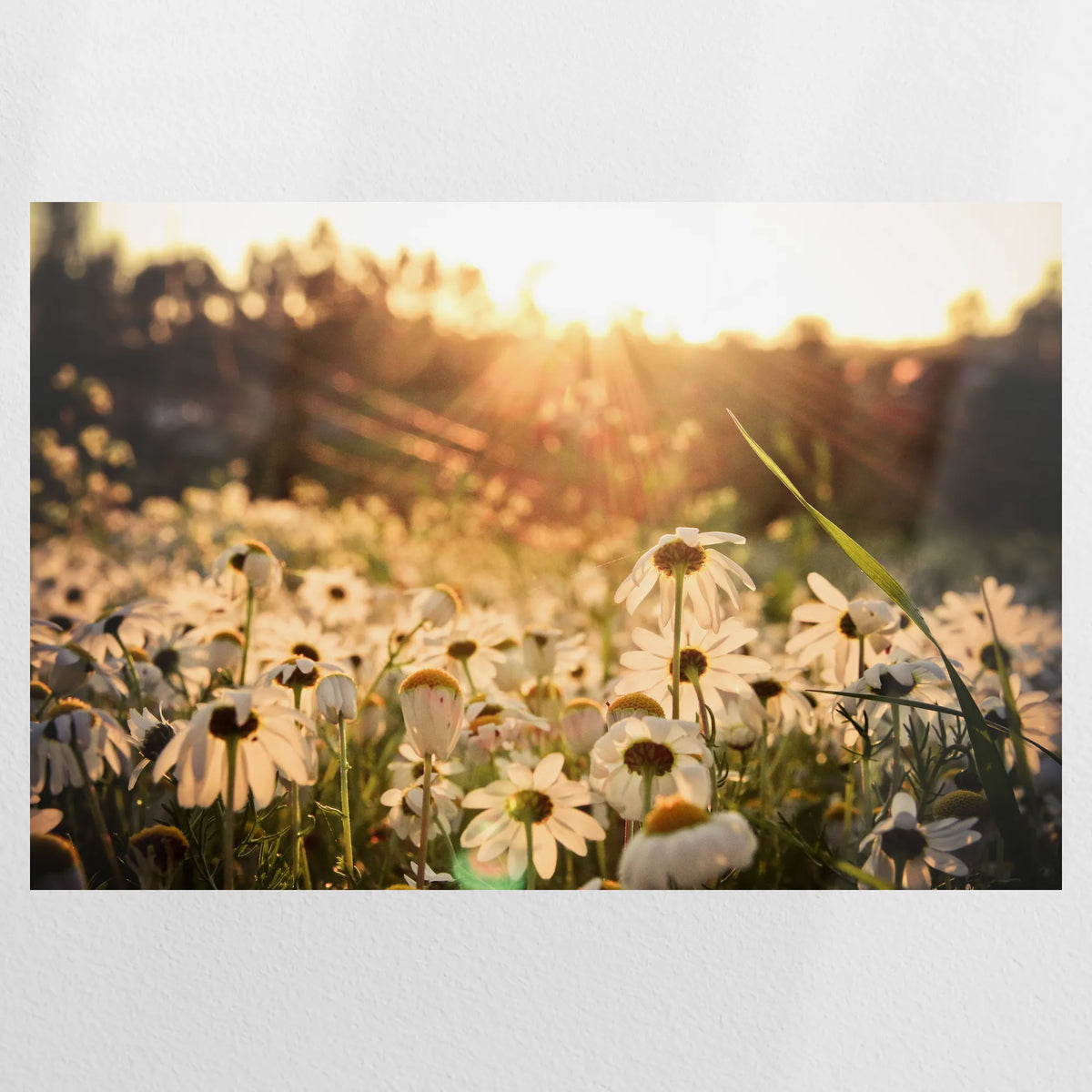 PO-075W050