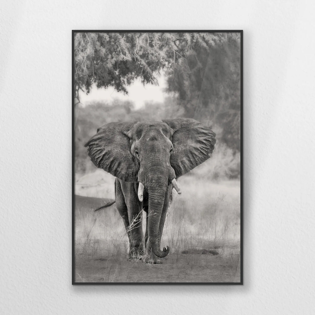 PB-062W093