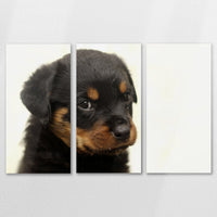 AL-120R080