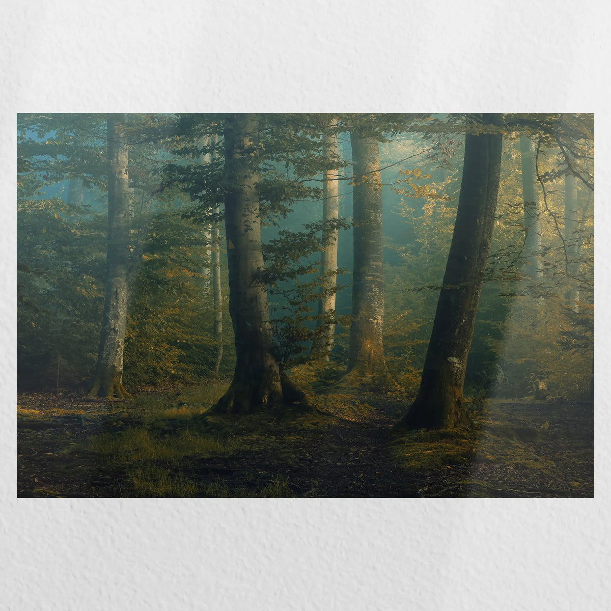 PO-030W020